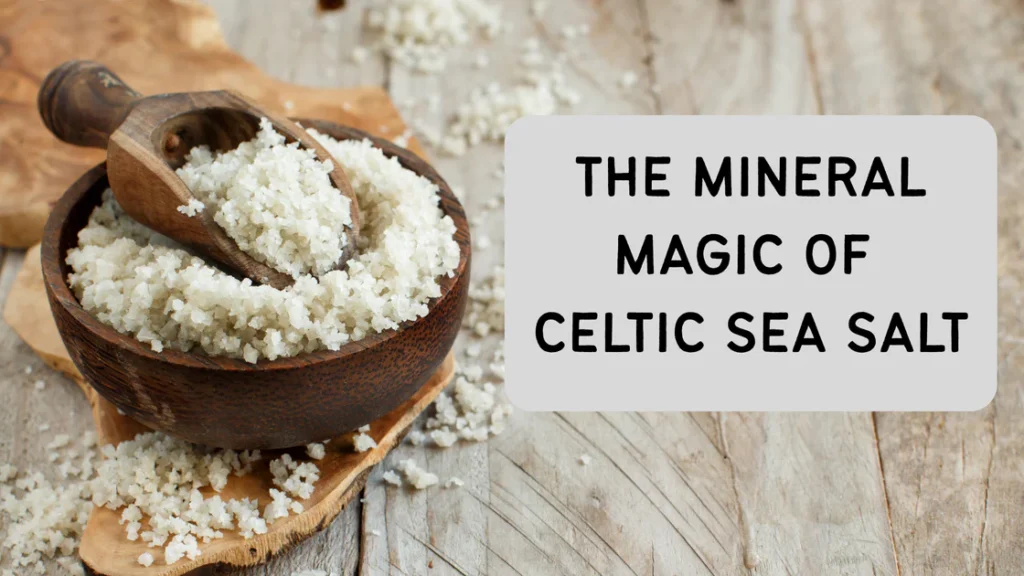 A close-up shot of light-grey celtic sea salt fine ground in a wooden bowl, showcasing the moist, mineral-rich texture of authentic celticseasalt.
