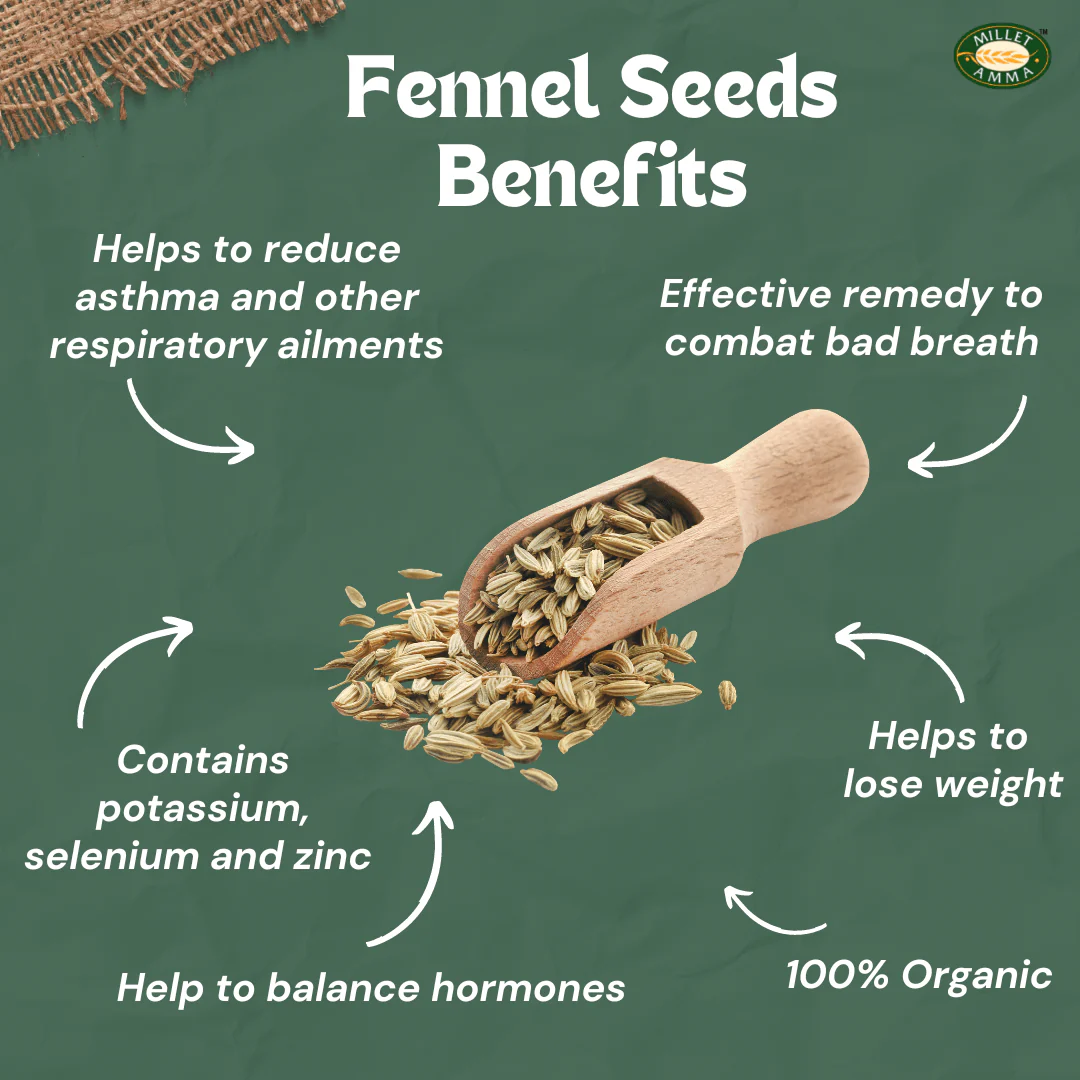 Premium Fennel Seed packaging front label view