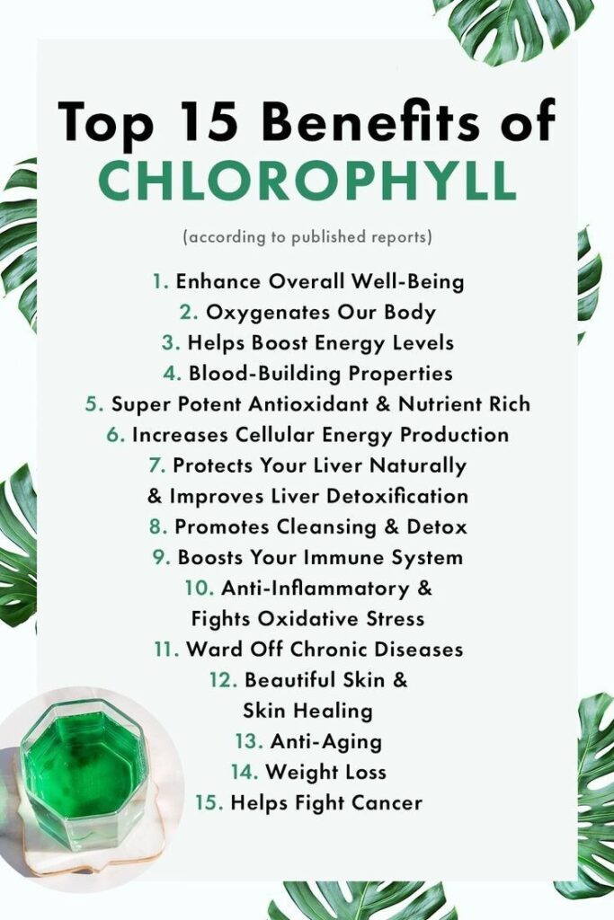 Nature’s Way Chlorofresh Liquid Chlorophyll